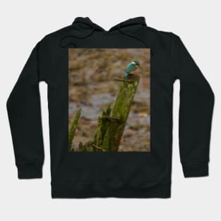 KING OF THE RIVER Hoodie